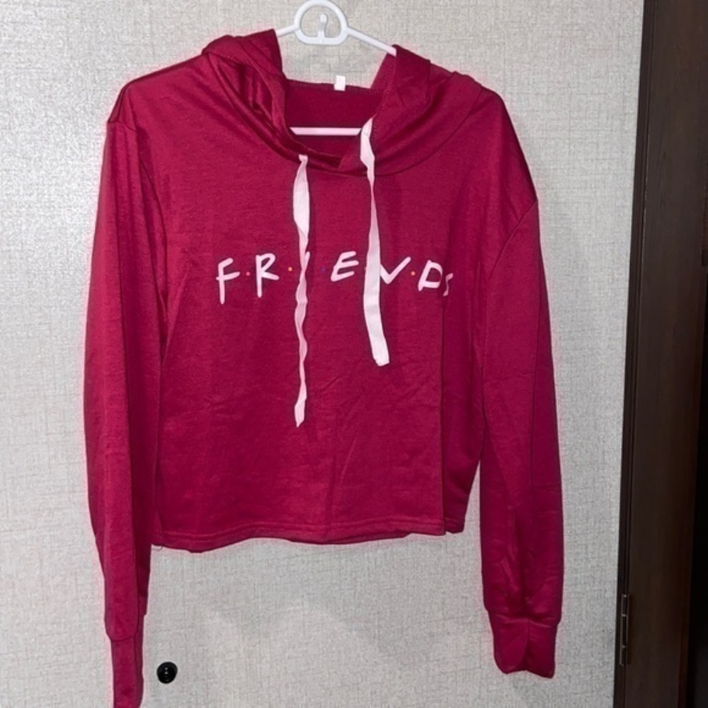 Friends hooded crop